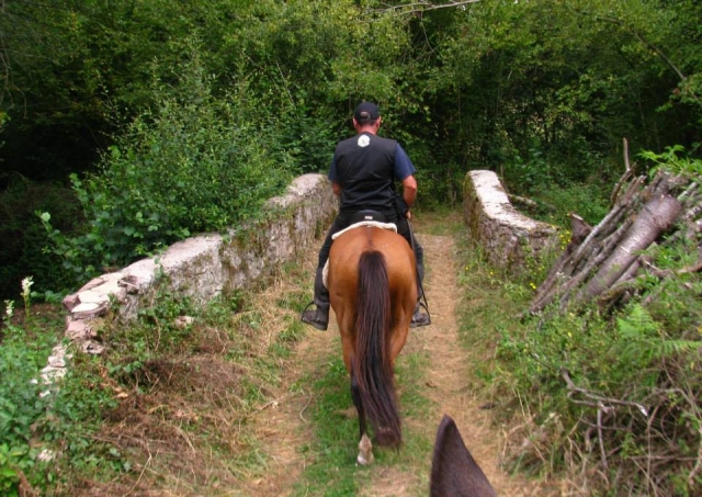 Por el valle de Baztán a caballo
